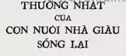 Cuộc Sống Thường Nhật Của Con Nuôi Nhà Giàu Sống Lại
