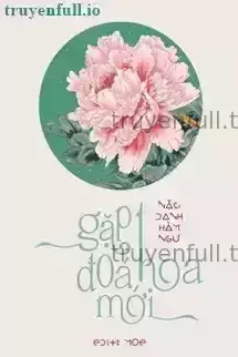 Gặp Một Đoá Hoa Mới - Nặc Danh Hàm Ngư