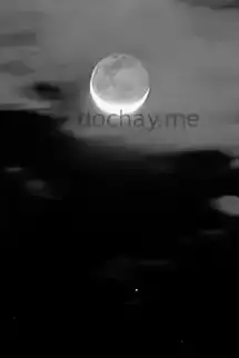 Truyện đêm khuya giải sầu