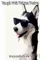 Tháng Ngày Giữ Mạng Bên Người Husky